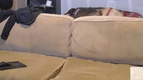 Snapshot of jay_short7863 chatting on February 2025 07:53:01 PM O F jay short786 online show from February 2025 07:53:01 PM