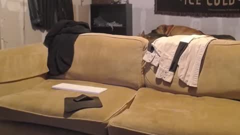 Snapshot of jay_short7863 chatting on February 2025 02:44:02 AM O F jay short786 online show from February 2025 02:44:02 AM