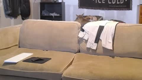 Snapshot of jay_short7863 chatting on February 2025 03:16:01 PM O F jay short786 online show from February 2025 03:16:01 PM