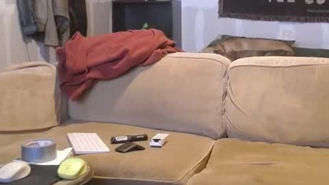 Snapshot of jay_short7863 chatting on February 2025 12:32:01 AM O F jay short786 online show from February 2025 12:32:01 AM