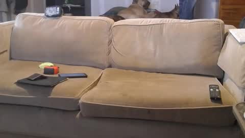 Snapshot of jay_short7863 chatting on March 2025 07:04:02 PM O F jay short786 online show from March 2025 07:04:02 PM