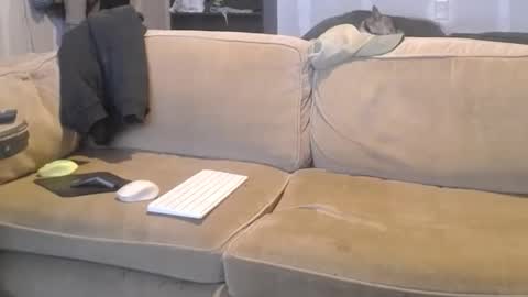 Snapshot of jay_short7863 chatting on March 2025 04:49:02 AM O F jay short786 online show from March 2025 04:49:02 AM