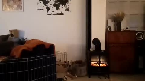 jaycat73 online show from January 2025 11:45:02 PM