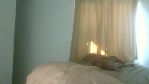 Snapshot of jcnat31cr chatting on November 2025 08:35:02 PM JC NATTY online show from November 2025 08:35:02 PM