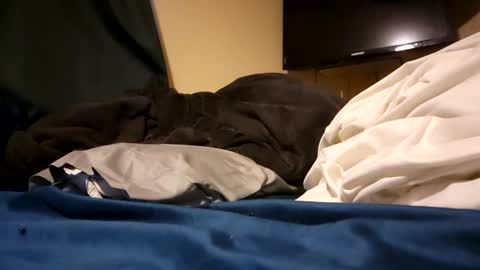 jd19852 online show from December 2024 11:31:02 PM