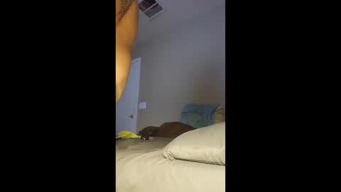 jdtripp15 online show from January 2026 11:43:02 PM