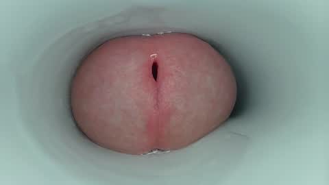 jeffrodgerschaturbat online show from January 2026 11:34:01 AM