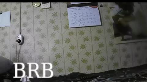 jellykulli online show from March 2025 04:24:02 PM