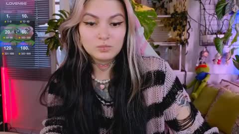 Jelya online show from March 2026 11:54:01 AM