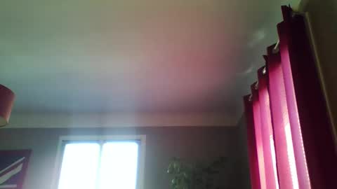 jerflor online show from April 2026 01:58:02 PM