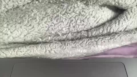 jerking1981 online show from January 2025 04:50:01 PM