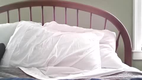 jerkingmanforyou online show from March 2026 01:39:01 PM