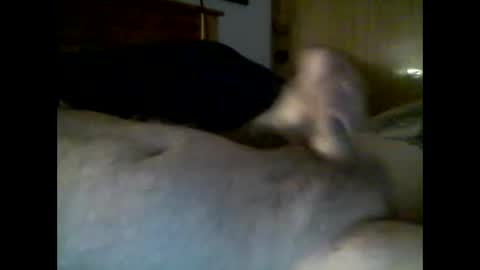 jerkmate6666 online show from December 2025 10:29:02 PM