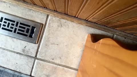 Jeremys room chill and puff one enjoy online show from September 2025 06:30:02 PM