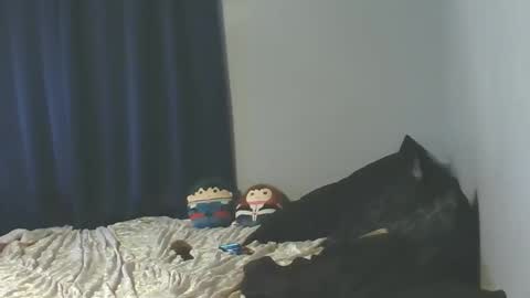 Sissy Jessica online show from January 2026 06:05:02 AM