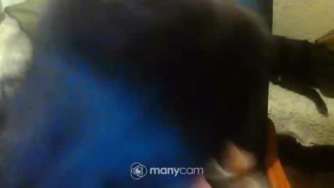 jessjess4you online show from February 2025 11:47:02 PM