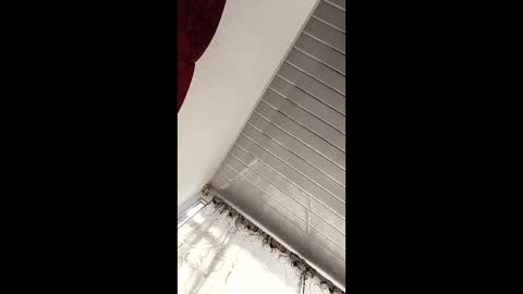 jhf1216 online show from April 2026 07:38:02 PM