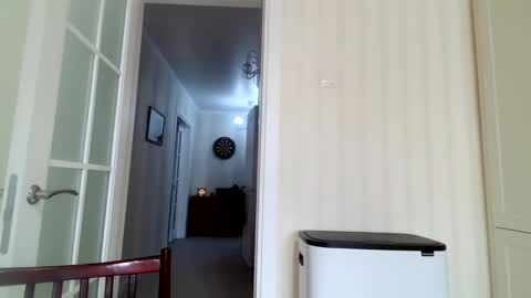 Jiana online show from January 2025 09:41:02 AM