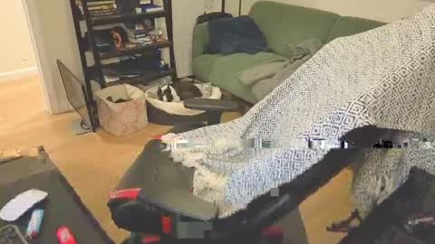 jimmygotya online show from April 2026 02:00:02 PM