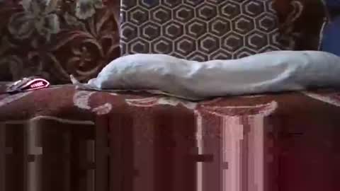 jimmyshelby12 online show from January 2025 06:34:01 AM