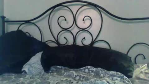 Snapshot of jimz169 chatting on May 2026 02:06:02 AM Jimz14u online show from May 2026 02:06:02 AM