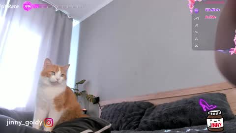 MY NEW INSTA jinny goldy online show from February 2026 07:51:01 AM