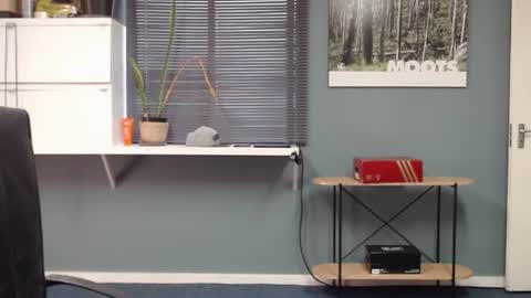 Snapshot of jjameson41 chatting on December 2024 11:34:02 AM JamesJan van Rebel online show from December 2024 11:34:02 AM