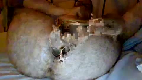 Snapshot of jjhot902921 chatting on June 2026 02:44:01 AM jjhot902921 online show from June 2026 02:44:01 AM