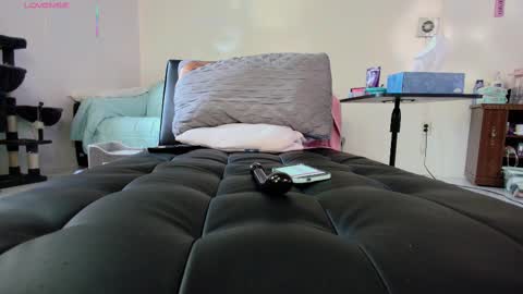 Nicole  Allen online show from September 2025 10:01:02 PM