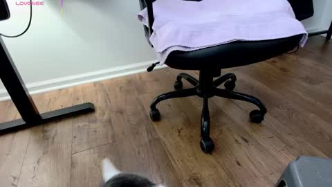 Nicole  Allen online show from December 2025 09:02:01 PM