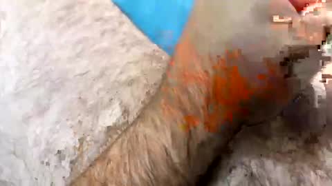 Jkriss online show from September 2025 06:24:01 PM