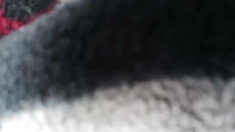 Jimmy online show from February 2025 05:56:01 AM