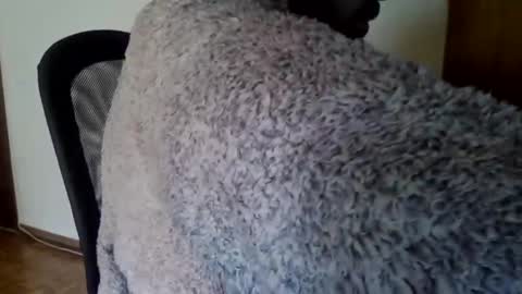 joaodias_18 online show from December 2024 02:16:02 PM