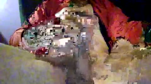 Snapshot of joe_says_hi chatting on November 2025 08:58:01 PM joe_says_hi online show from November 2025 08:58:01 PM