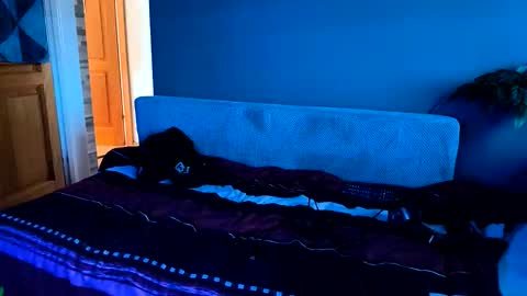 - Quantum - online show from November 2025 07:41:02 AM