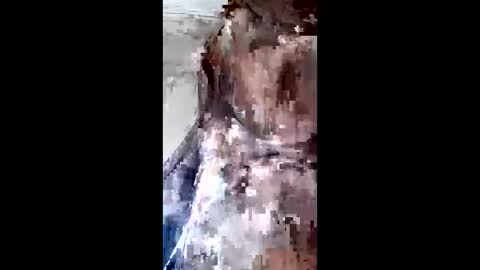 johan3084 online show from April 2026 09:31:02 PM