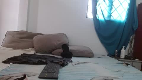 Snapshot of johan_kitten chatting on May 2026 12:55:02 PM johan online show from May 2026 12:55:02 PM