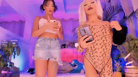 johaplate online show from September 2025 06:06:02 AM