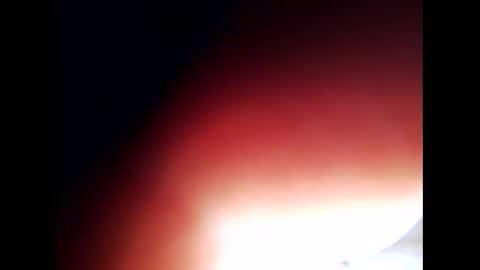 johnlong25cm online show from December 2024 09:28:02 AM