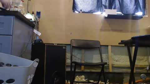 johnplayer23 online show from December 2025 04:59:02 PM