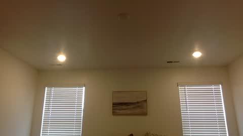Snapshot of johntitoo chatting on July 2026 03:03:02 PM John Tito online show from July 2026 03:03:02 PM