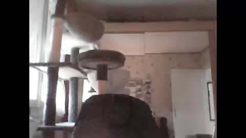 jojo60000529566 online show from September 2025 05:07:02 PM