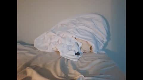 jojooo27 online show from February 2026 06:48:01 PM