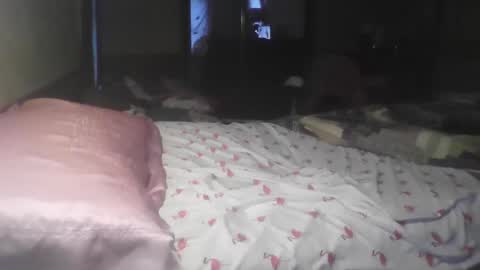 jojosbizarrelyf online show from November 2025 11:21:02 PM