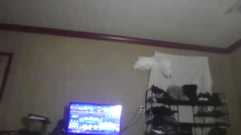 jojosbizarrelyf online show from November 2025 02:56:02 AM