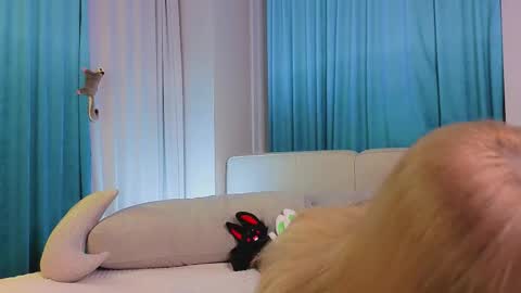 Viola online show from November 2025 11:20:02 AM