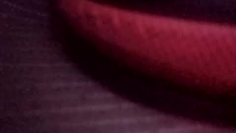 jonathanrossmyers858 online show from March 2026 08:10:01 AM