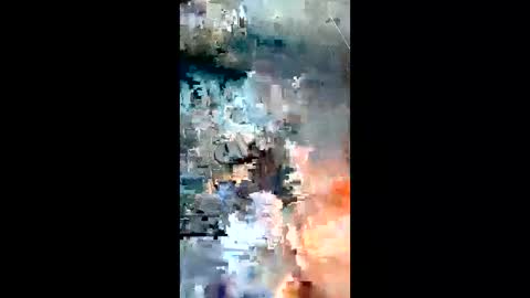jondillinga13754352 online show from May 2026 12:33:01 PM