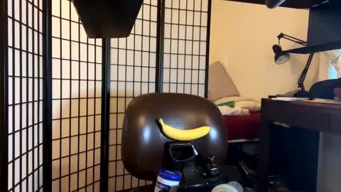 jondoe3657 online show from January 2025 03:58:02 AM