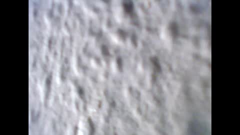 Snapshot of jonny_xp chatting on March 2026 12:54:01 AM Jonny online show from March 2026 12:54:01 AM